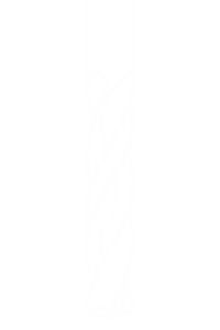 鎢鋼鑽鉸刀